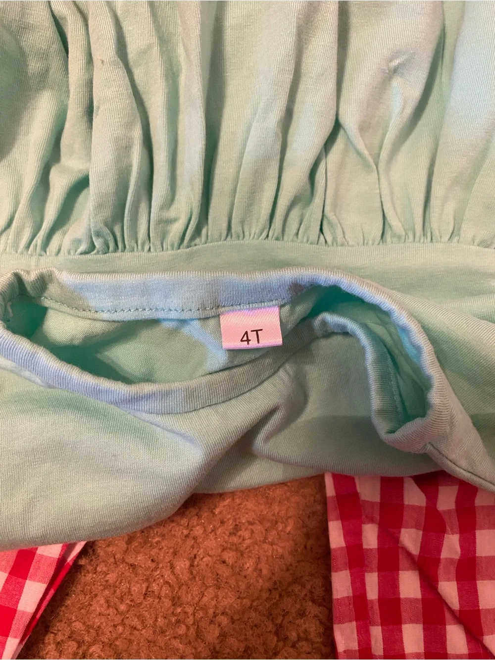 Girls Mint Green Reindeer Smocked Top & Red Gingham Set
